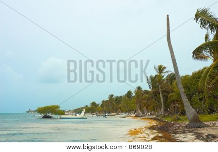 Costa Maya