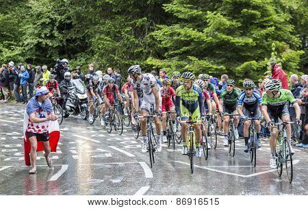 The Peloton