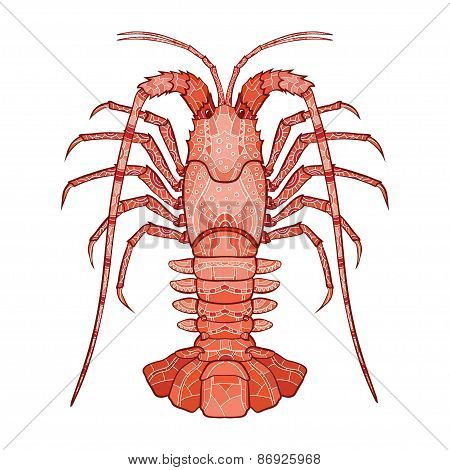 Decorative isolated crayfish