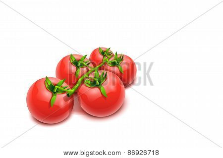 Tomatos