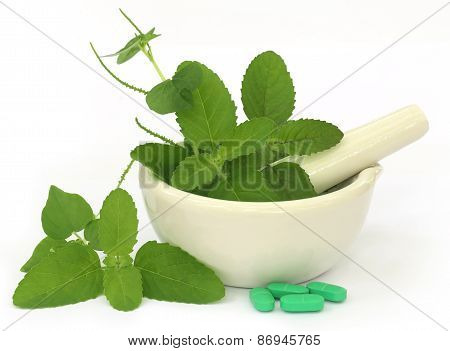 Medicinal Herbs On Mortar With Pestle And Pills