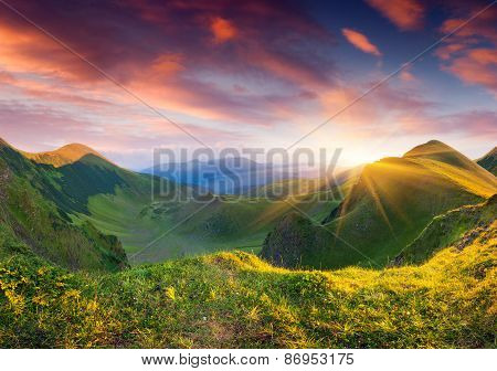 Beautiful Summer Landscape In The Mountains