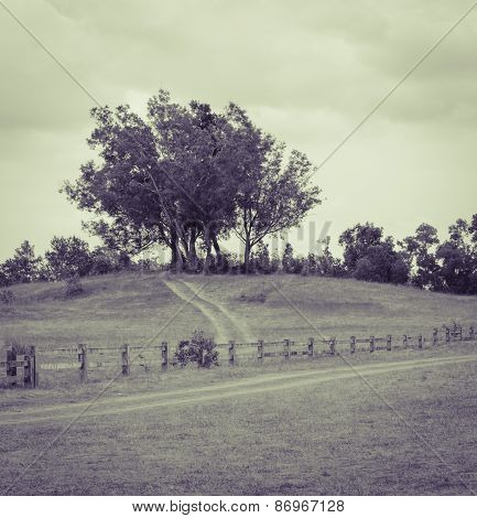 Grass Hill Or Bald Hill In Thailand