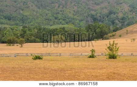 Grass Hill Or Bald Hill In Thailand