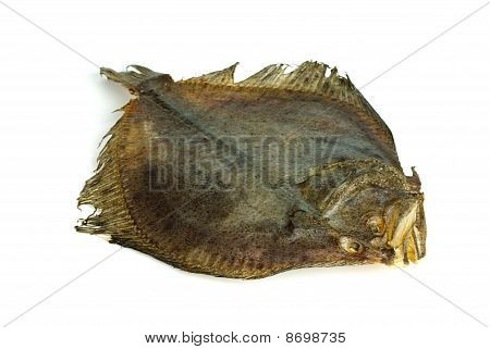 Dried Flatfish