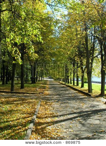 Vicolo di autunno In città