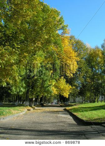 Autunno In città