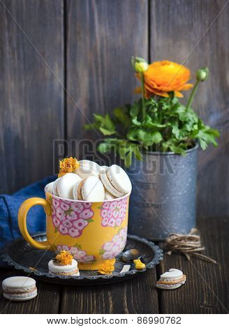 Makarons vanilla