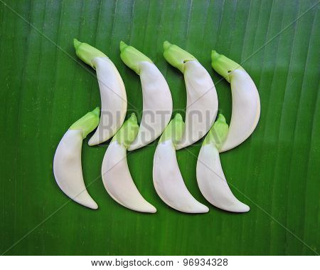 Close Up Organic Agasta On Green Background