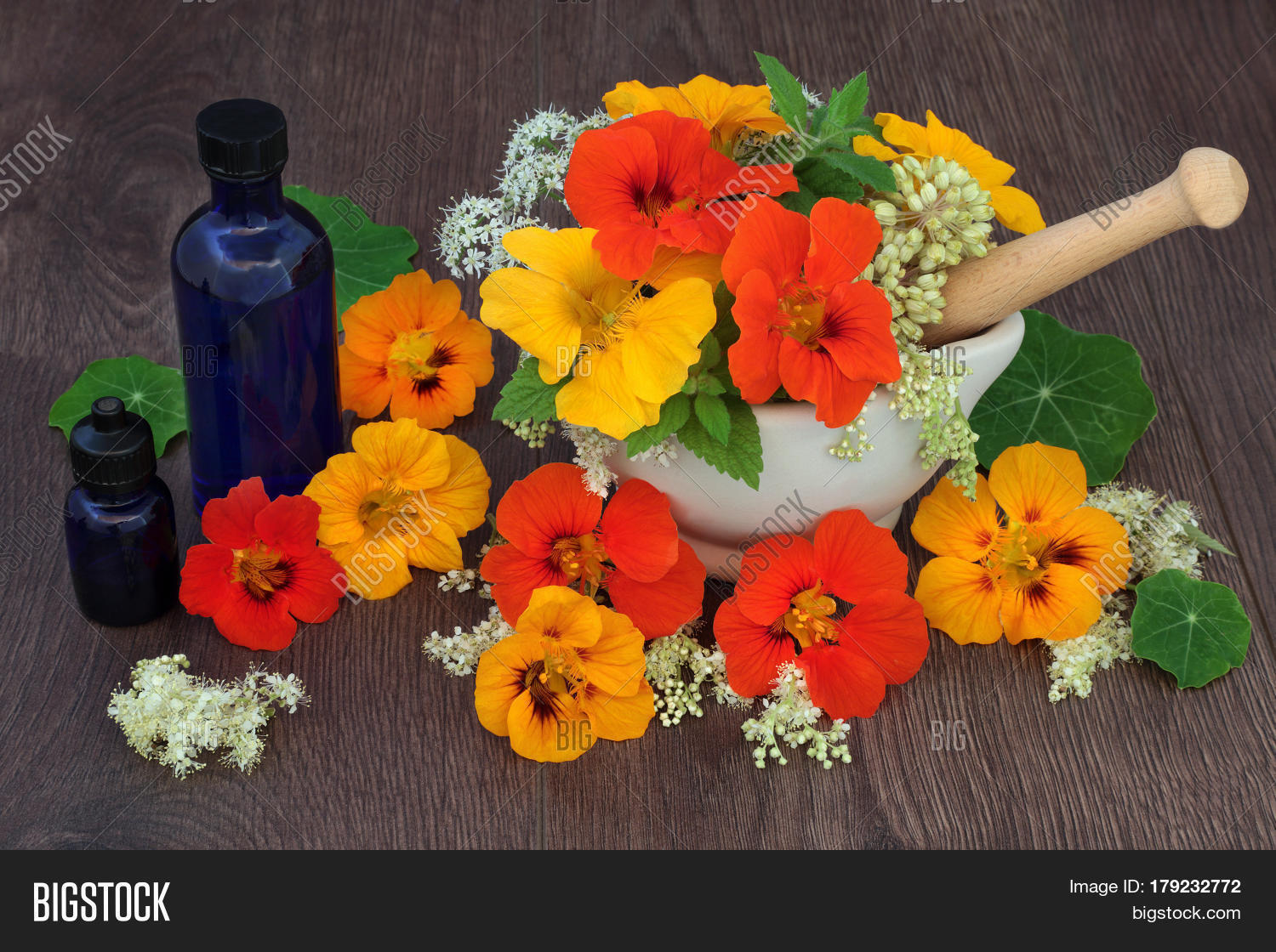 Healing Flowers Herbs Image & Photo (Free Trial) Bigstock
