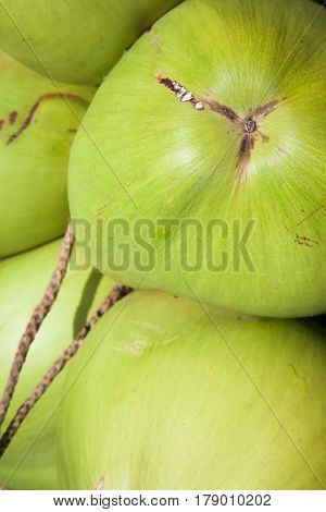 Cutting bunch fresh young coconuts on ground. Close up.