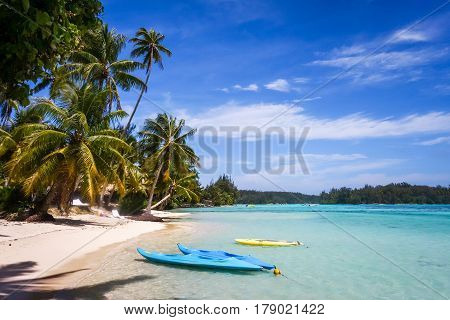 Paradise Tropical Beach And Lagoon In Moorea Island