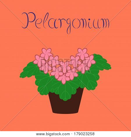 flat illustration on stylish background plant Pelargonium