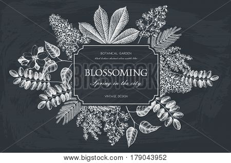 Vector card design with hand drawn blossoming trees. Floral wedding invitation template.