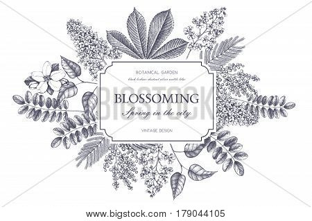 Vector card design with hand drawn blossoming trees. Floral wedding invitation template.