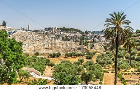 Church of All Nations in the Kidron Valley - Jerusalem, Israel
