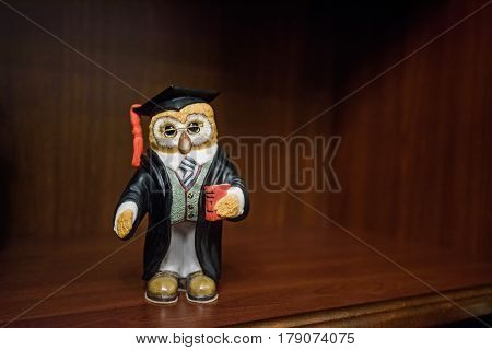 Closeup statuette of smart owl on shelf with wooden background