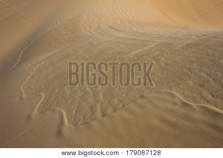 Sand dunes of Liwa desert in Abu Dhabi