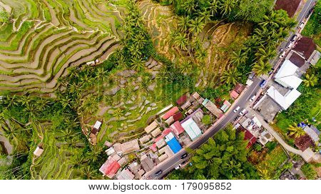 Top view Tegalalang Rice Terrace in Ubud Bali Indonesia.