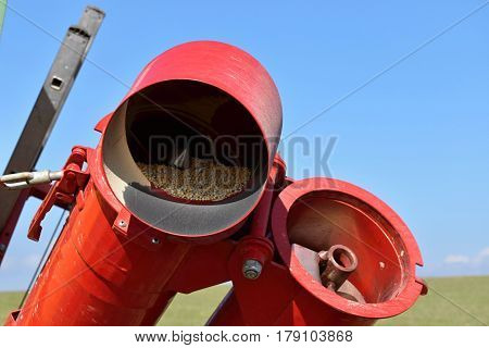 Screw conveyor in agriculture. Farm. Grain conveyor.