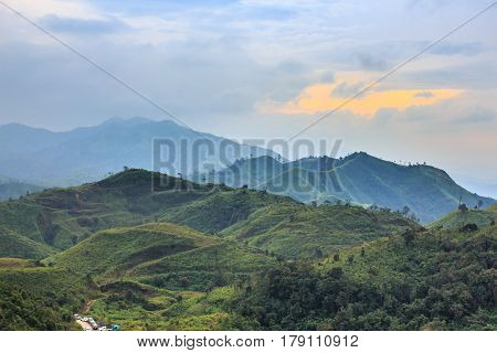 Horizon Beautiful Green Field Forest Mountain Vintage Style