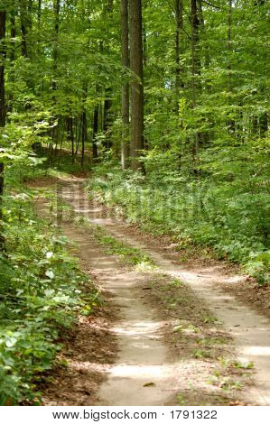 Green Lane