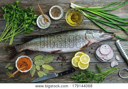 Fresh uncooked pike fish with lemon herbs oil and spices on rustic wooden table. Rustic style top view