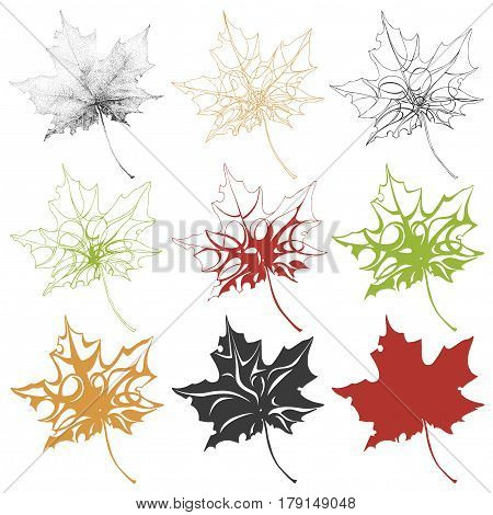 Illustration with a set of colorful maple leafs on a white background