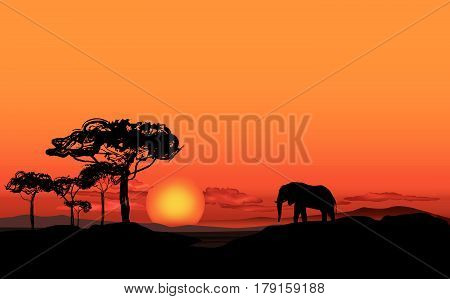 African Landscape With Animal Elefant Silhouette. Savanna Wildlife Nature. Sunset Skyline Background