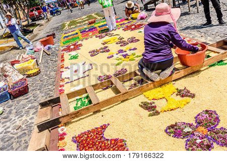 Antigua, Guatemala - March 26 2017: Locals make dyed sawdust & flower procession carpets during Lent in colonial town with most famous Holy Week celebrations in Latin America.