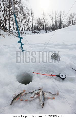 Winter Fishing