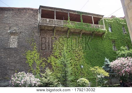 House With A Balcony Overgrown With Grapes