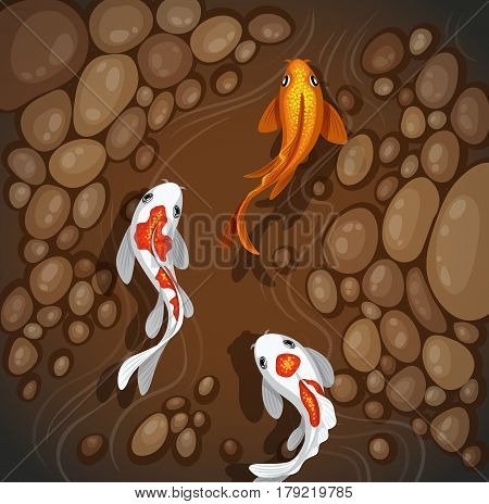 carps koi fish underwater pond vector illustration