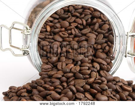 Koffie zaden