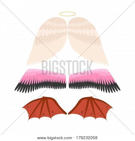 Wings isolated animal feather pinion bird freedom flight and natural hawk life peace design flying element eagle winged side shapevector illustration. Beauty haven soft anatomy graphic.
