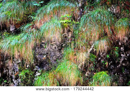 Landscape in Apuseni Mountains, Transylvania. The Apuseni Mountains is a mountain range in Transylvania, Romania, which belongs to the Western Romanian Carpathians, also called Occidentali in Romanian. The Apuseni Mountains have about 400 caves