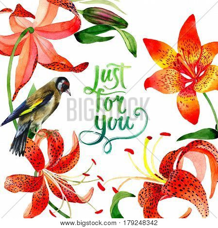 Wildflower leopard lily flower frame in a watercolor style isolated.  Aquarelle wild flower for background, texture, wrapper pattern, frame or border.