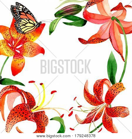 Wildflower leopard lily flower frame in a watercolor style isolated.  Aquarelle wild flower for background, texture, wrapper pattern, frame or border.