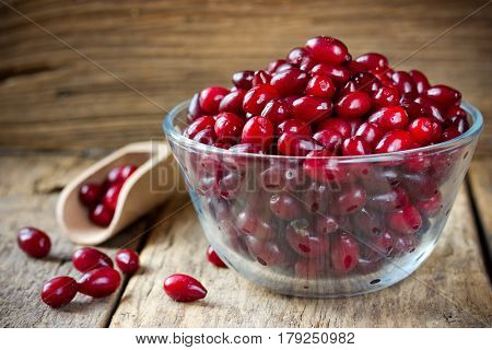 Organic cornel or dogwood berry in bowl