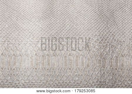 Gray Snakeskin