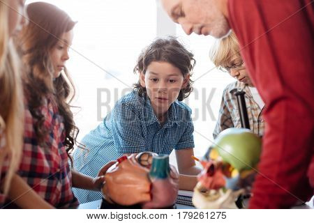 Caught in thoughts. Cool intelligent creative teacher delivering a lecture on human anatomy using a skull model while the children looking fascinated about it