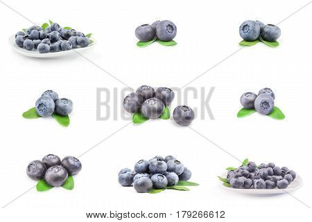 Collection of blueberry isolated on a white background
