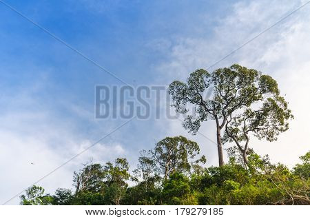 Beautiful Mountains Natural Landscape And Blue Sky From View Point Pangsida National Park Thailand.