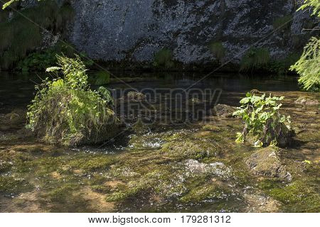 Izbucul Tauzului, karst spring in Apuseni mountains, Romania