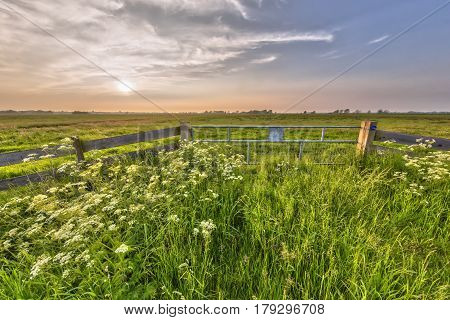 Hazy Sunset Over Fence In Dutch Polder