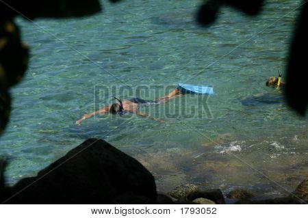 Snorkler rodeado de hojas