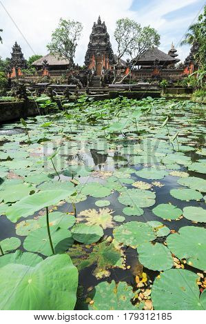 Lotus Pond And Pura Saraswati Temple In Ubud, Bali