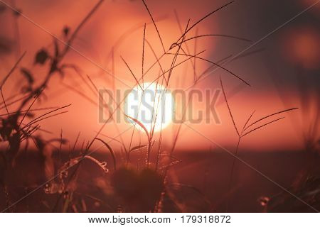 Sunset in the city of Campo Magro metropolitan Region of Curitiba State of Paraná Brazil.