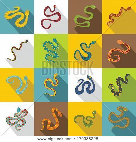 Snake icons set. Flat illustration of 16 snake vector icons for web