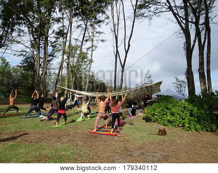 NORTH SHORE - FEBRUARY 19: Outdoor Yoga class led by Kara Miller does warrior one among large ironwood trees at Optimysstique Campout 2017. February 19 2017 Oahu Hawaii.